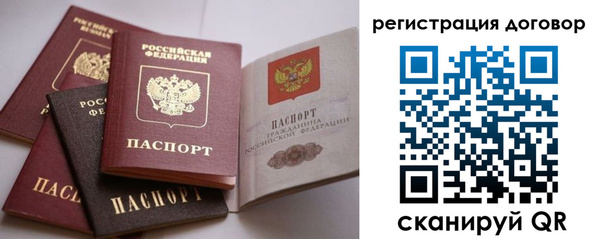 прописка в Лыткарино